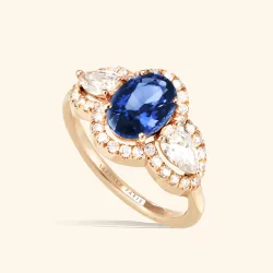 victoire bleu foncée 2